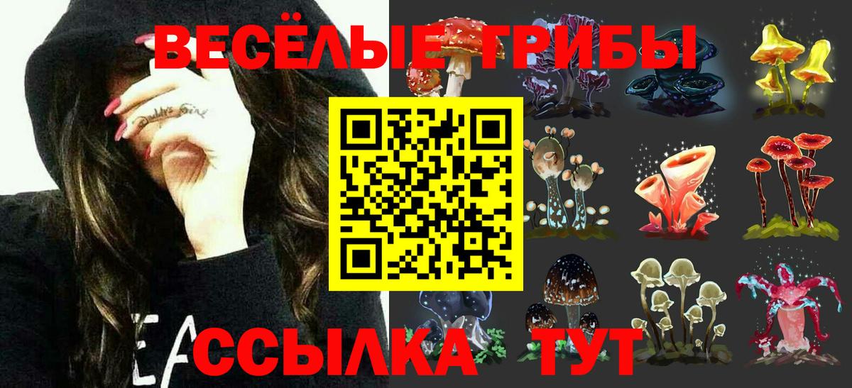 Псилоцибиновые грибы мухоморы Десногорск